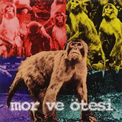 Bırak Zaman Aksın - Mor Ve Ötesi