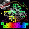 Live Seagulls