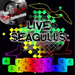 Live Seagulls - A Flock Of Seagulls