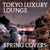 Tokyo Luxury Lounge Spring Covers, 2013