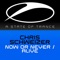 Now or Never - Chris Schweizer lyrics