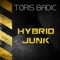 Hybrid Junk - Toris Badic lyrics