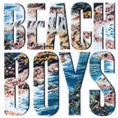 The Beach Boys - Maybe I Don't Know