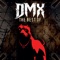 X Gon' Give It to Ya (Re-Recorded) - DMX lyrics