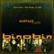 Rhiwani (feat. Manu Dibango & Titi Robin) - Binobin lyrics