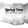 Spring Time - 2014 Bigroom House