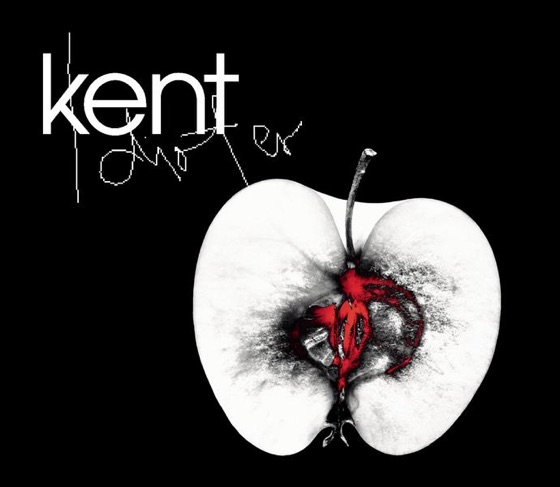 Cover artwork for Idioter