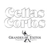 20 de abril by Celtas Cortos iTunes Track 5