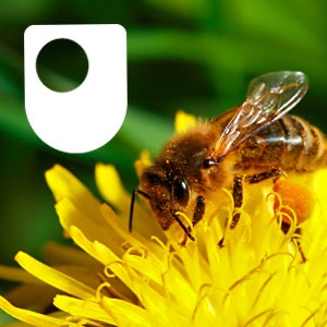 Ecosystems: living communities