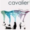 Cavalier II: The Secret of the Ooze - Cavalier lyrics