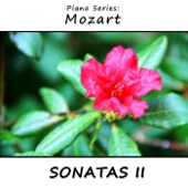 Sonata No. 11 in A-Dur (Alla Turca), Kv 331: II Allegro moderato artwork