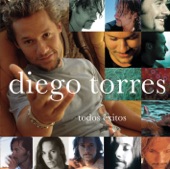 Diego Torres - Alguien la Vio Partir