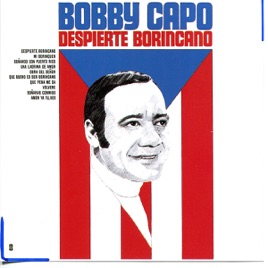 Resultado de imagen para Canta Bobby Despierte Borincano