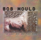 Bob Mould - Megamanic