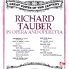 In Opera and Operetta (Remastered) artwork