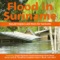 Flood In Suriname - Ronald Snijders lyrics
