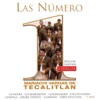 Guadalajara by Mariachi Vargas De Tecalitlan iTunes Track 1