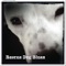 Rescue Dog Blues - Aaron Raitiere lyrics