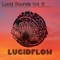 Lucid Sounds Six (DJ Mix) [Continuous DJ Mix] - Nadja Lind lyrics