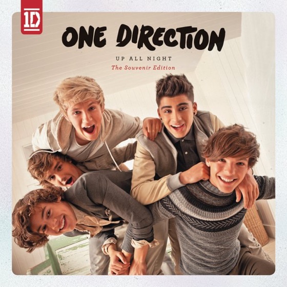 Cover artwork for I Should Have Kissed You
