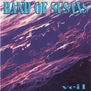 descargar álbum Band Of Susans - Veil