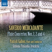 Mercadante: Flute Concertos Nos. 1, 2 & 4 artwork