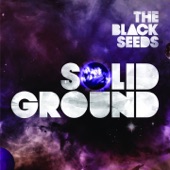 The Black Seeds - Love Is a Radiation