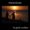 Teslim Budak - Söz Verdin Gelmedin
