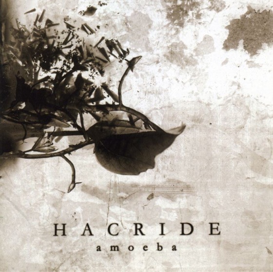 Cover artwork for Cycle