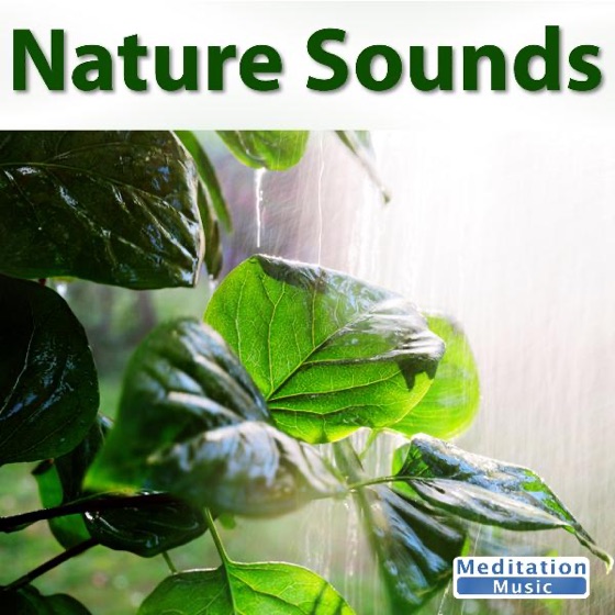 Cover artwork for Beach Sounds