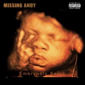 Embryonic Sonic EP artwork