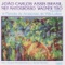 Suite I Na Floresta - Melodia Sentimental - João Carlos Assis Brasil lyrics
