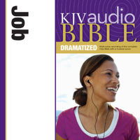 Zondervan Bibles - Dramatized Audio Bible - King James Version, KJV: (17) Job (Unabridged) artwork