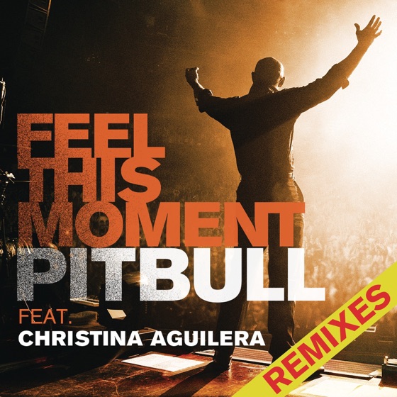 Cover artwork for Feel This Moment