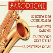 Saxophone - Daniel Rosiejak