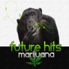 Future Hits - Marijuana (Original Mix)