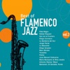 Best of Flamenco Jazz, Vol. 2