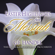 Hallelujah Chorus (from Messiah) - The Choir & Orchestra of Pro Christe