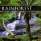 Rainforest 3 - Peter Samuels lyrics