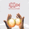 Cellule - Single, 2012