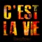 C'est La Vie (Master Remix) - Khaled lyrics