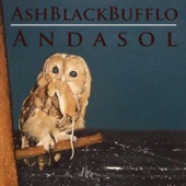 Ash Black Bufflo - Buho