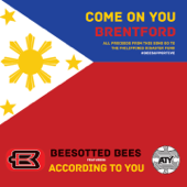 Come On You Brentford (feat. According To You) [Braemar Road Radio Edit] - Beesotted Bees