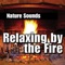 Wood Burning Fireplace - Nature Sounds lyrics