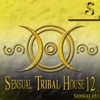 Sensual Tribal House (12)