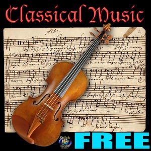 Sonata 1 Mozart K300 1st movement