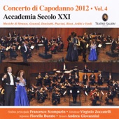Concerto di Capodanno, Vol. 4 artwork