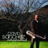 Monk's Mood - David Sanchez 