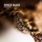 Space Bugs - Klebinger lyrics