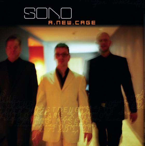Cover artwork for A New Cage